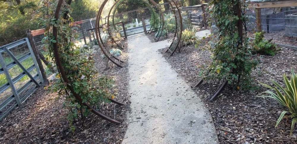 Affordable outdoor landscaping in Sonoma, CA by Scandia Landscaping
