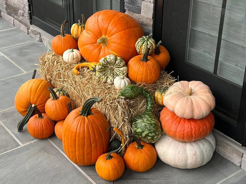 Professional landscape installation experts serving Fair Haven, NJ - Scanlon's Lawn & Landscape