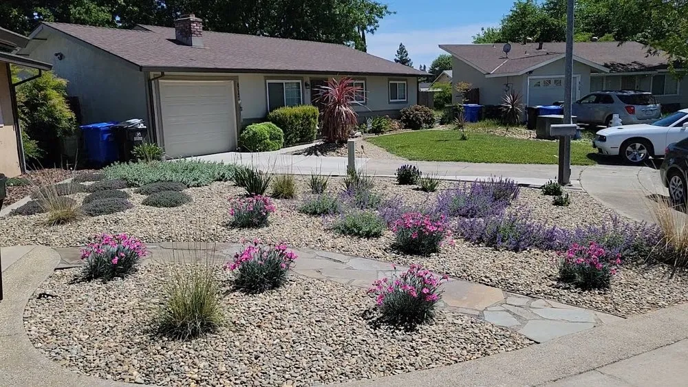 Custom residential landscaping near you across Elk Grove, CA - Scape Aesthetics