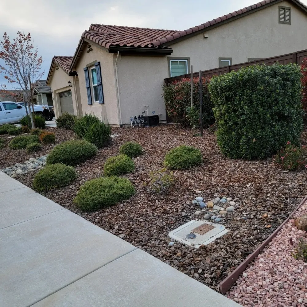 Top-rated landscape installation for year-round maintenance across Elk Grove, CA - Scape Aesthetics