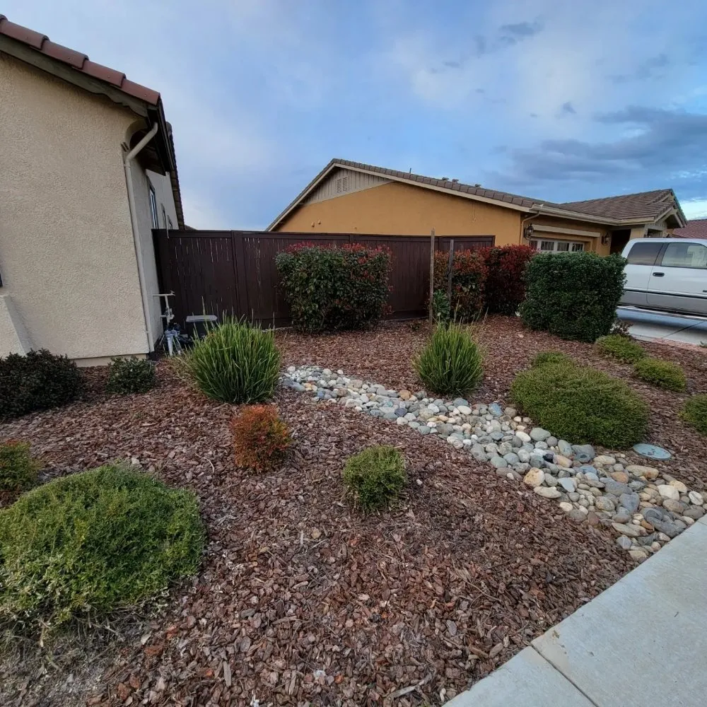 Local yard maintenance in Elk Grove, CA by Scape Aesthetics