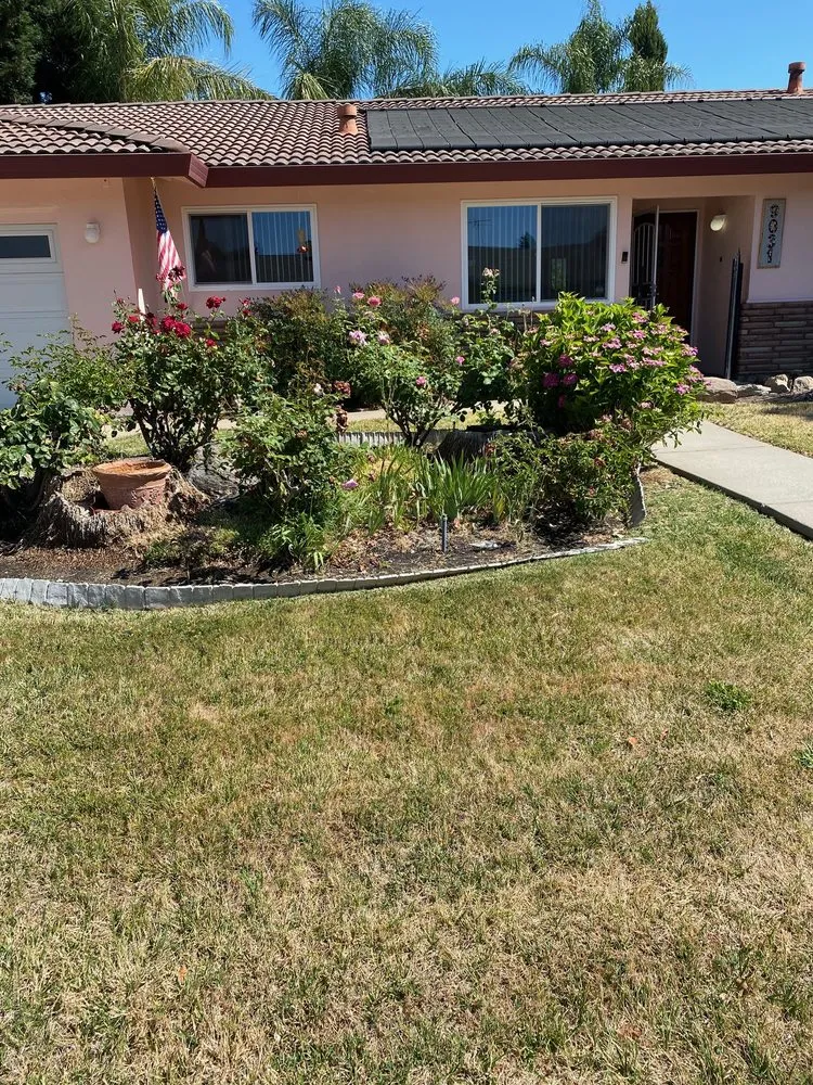 Custom outdoor landscaping experts serving Elk Grove, CA - Scape Aesthetics