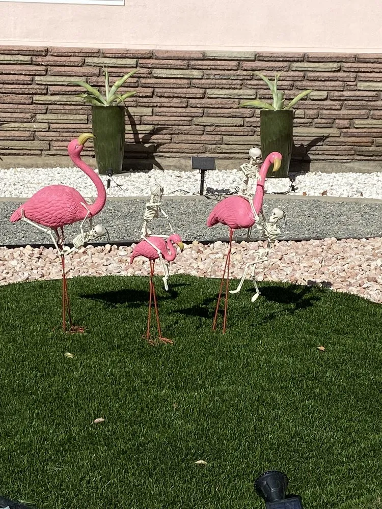 Custom lawn care service for year-round maintenance across Elk Grove, CA - Scape Aesthetics