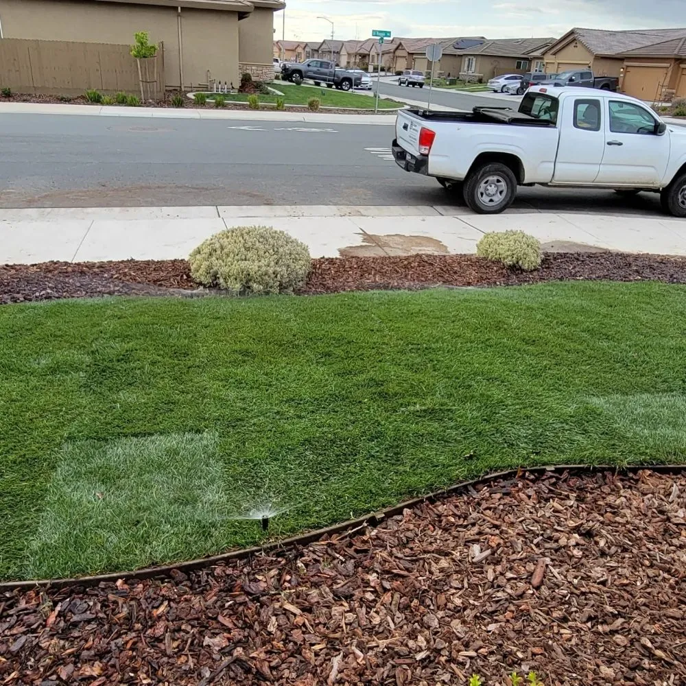 Expert residential landscaping in Elk Grove, CA by Scape Aesthetics