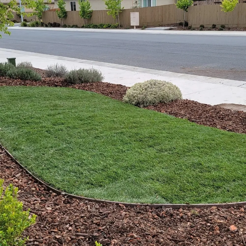 Reliable garden landscaping for year-round maintenance in Elk Grove, CA by Scape Aesthetics