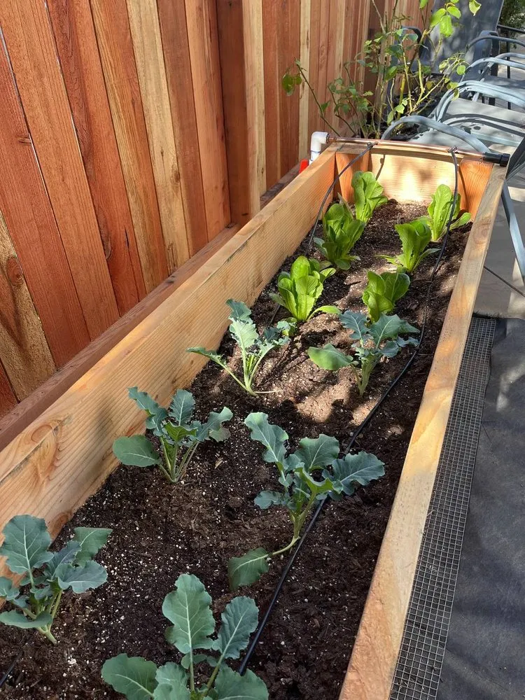 Expert lawn mowing service for residential properties across Elk Grove, CA - Scape Aesthetics