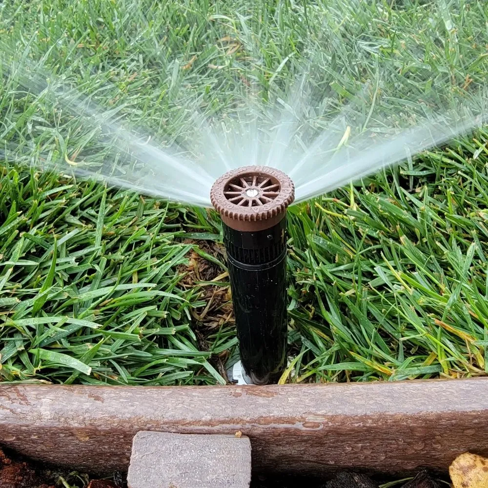 Reliable landscaping services for beautiful yards across Elk Grove, CA - Scape Aesthetics