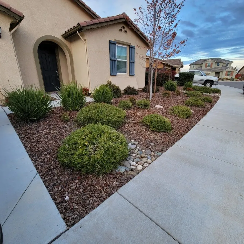 Custom yard cleanup service in Elk Grove, CA by Scape Aesthetics