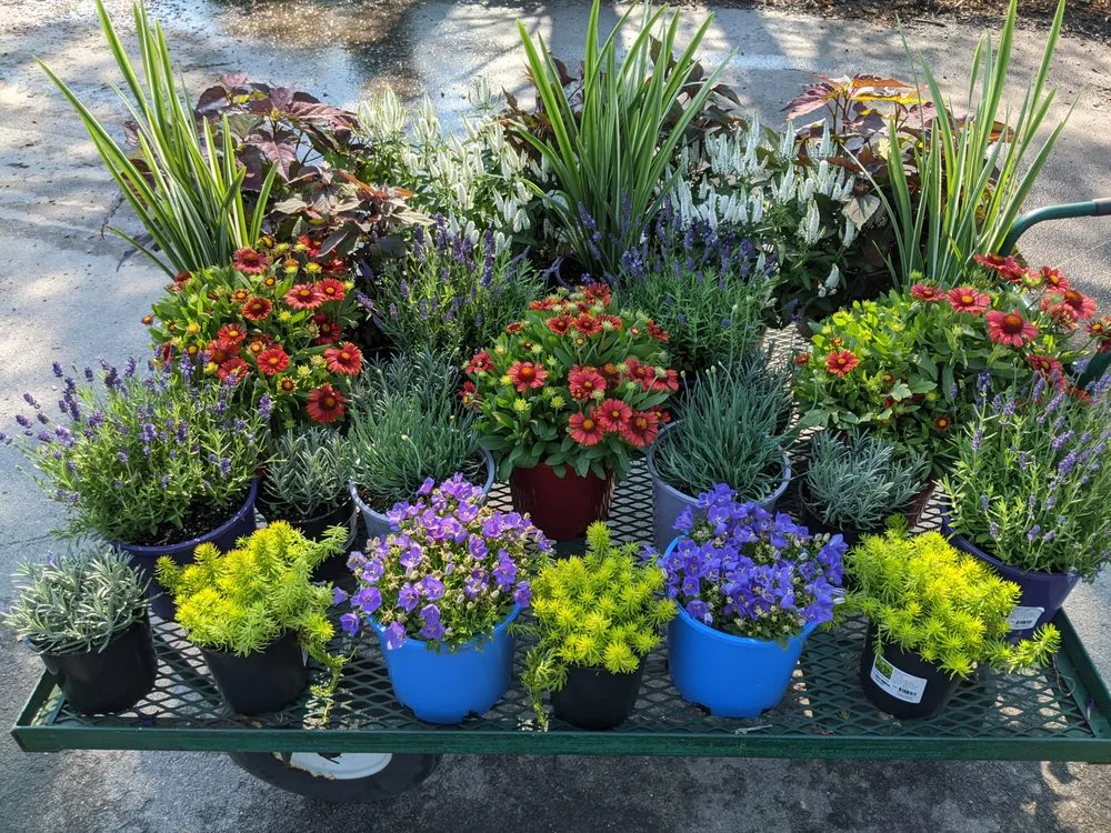 Affordable outdoor landscaping in Marlborough, MA - Scape And Stage