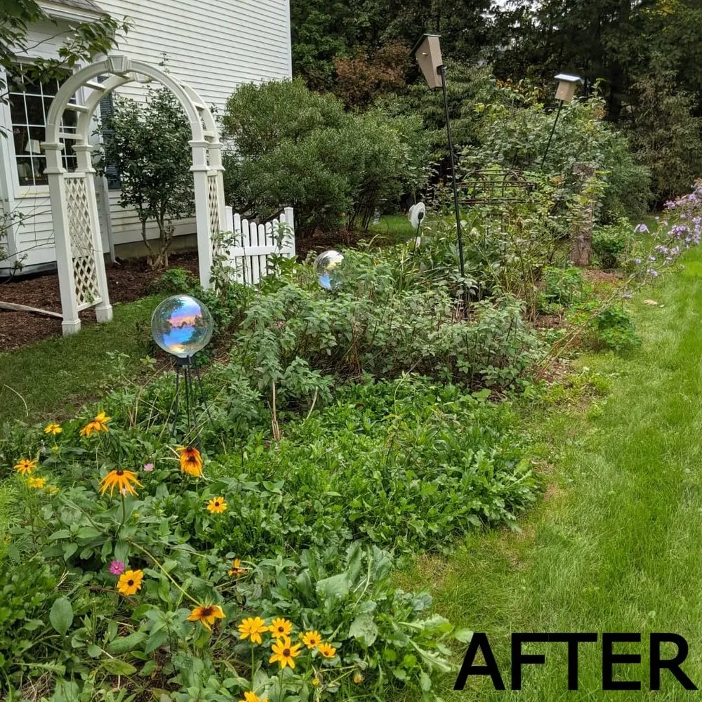 Affordable landscaping services for year-round maintenance in Marlborough, MA by Scape And Stage