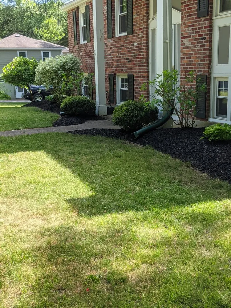 Reliable yard cleanup service experts serving Marlborough, MA - Scape And Stage