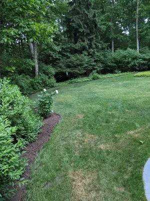 Scape And Stage Logo