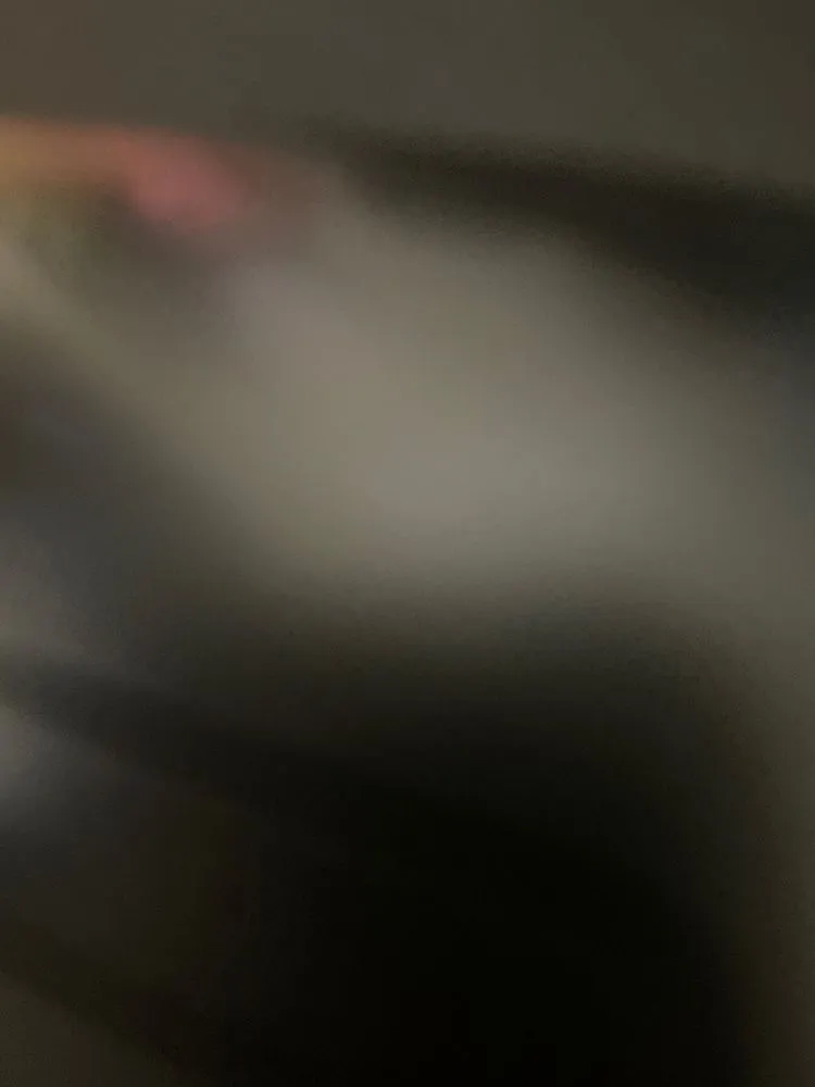 Affordable yard cleanup service in Indian Wells, CA - Scape