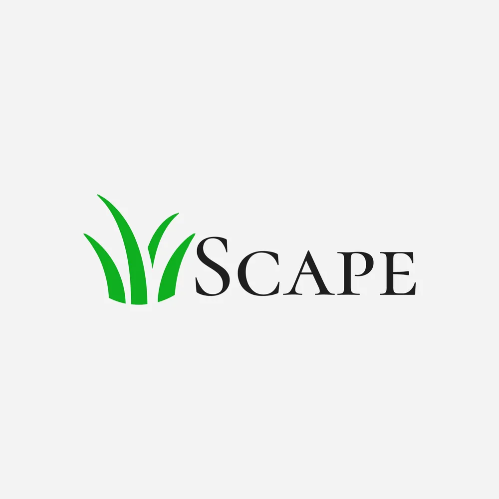 Trusted yard cleanup service for residential properties across Indian Wells, CA - Scape