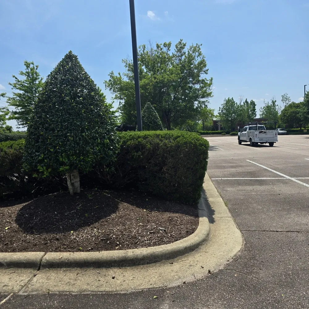 Affordable landscape installation for homes across Durham, NC - Scape Maintenance