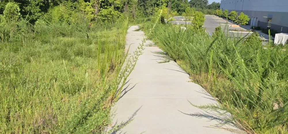 Professional garden landscaping in Durham, NC by Scape Maintenance