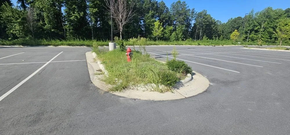 Trusted landscape installation in Durham, NC - Scape Maintenance