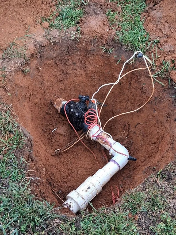 Professional yard cleanup service experts serving Durham, NC - Scape Maintenance