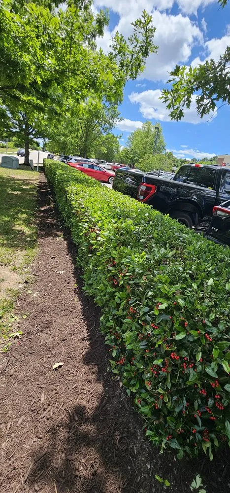 Expert lawn care service in Durham, NC - Scape Maintenance