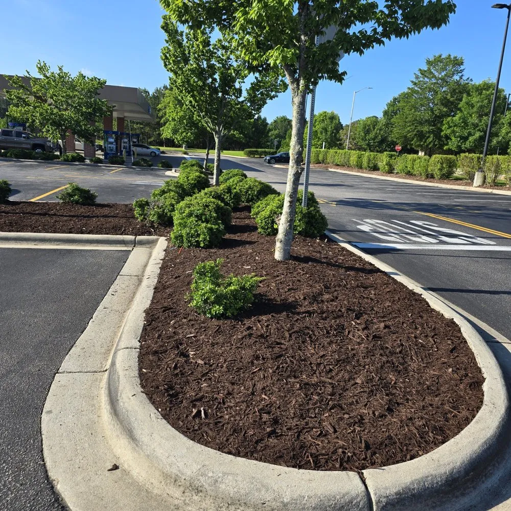 Expert yard maintenance for homes in Durham, NC by Scape Maintenance