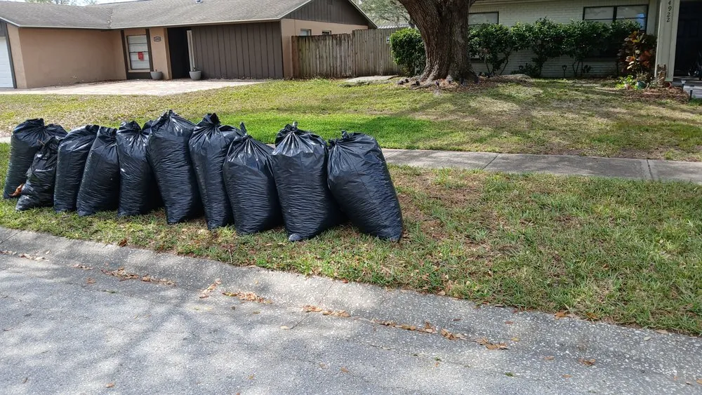 Local landscaping services experts serving Greater Northdale, FL - Scape Mate