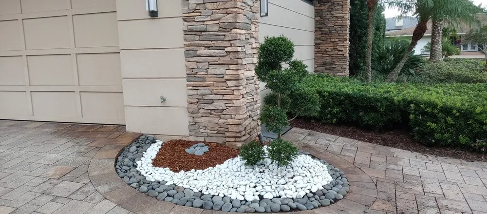 Expert lawn care service in Greater Northdale, FL by Scape Mate