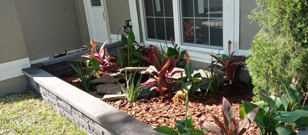 Custom yard cleanup service in Greater Northdale, FL - Scape Mate