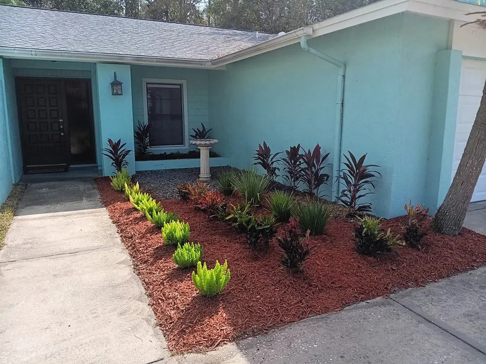 Trusted yard cleanup service for residential properties in Greater Northdale, FL by Scape Mate