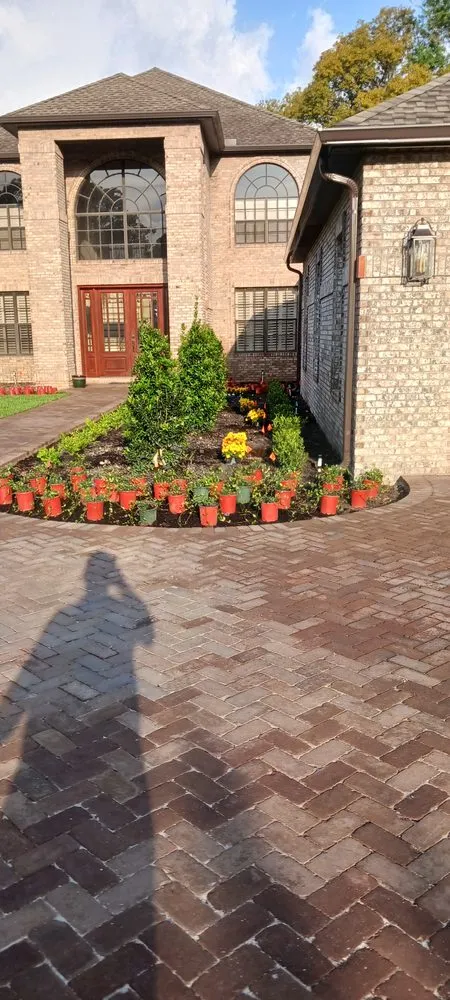 Expert yard cleanup service for outdoor upgrades across Greater Northdale, FL - Scape Mate