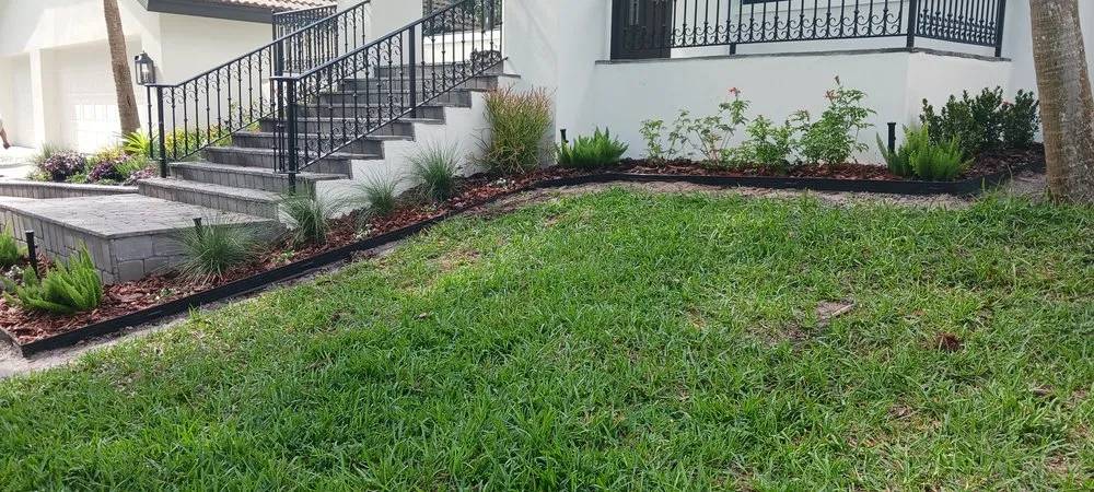 Reliable yard cleanup service for residential properties in Greater Northdale, FL by Scape Mate