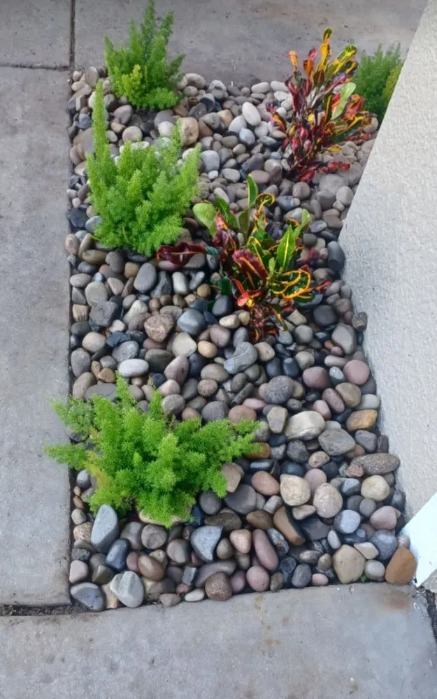 Professional garden landscaping in Greater Northdale, FL - Scape Mate