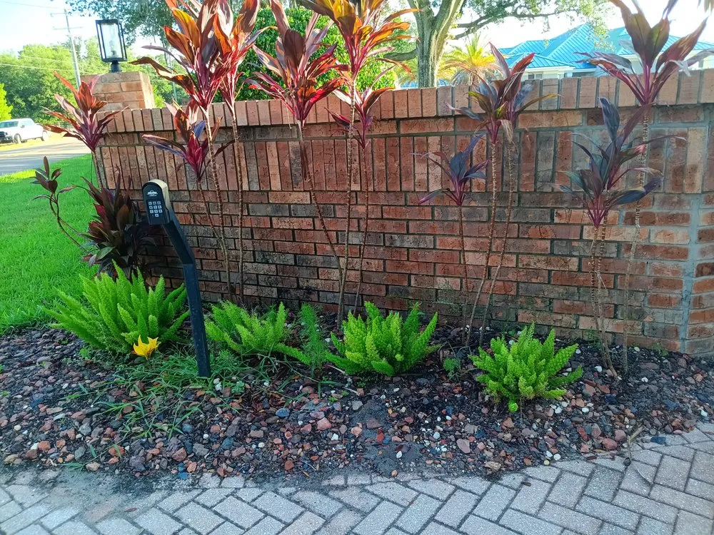 Affordable landscaping services with custom design in Greater Northdale, FL by Scape Mate