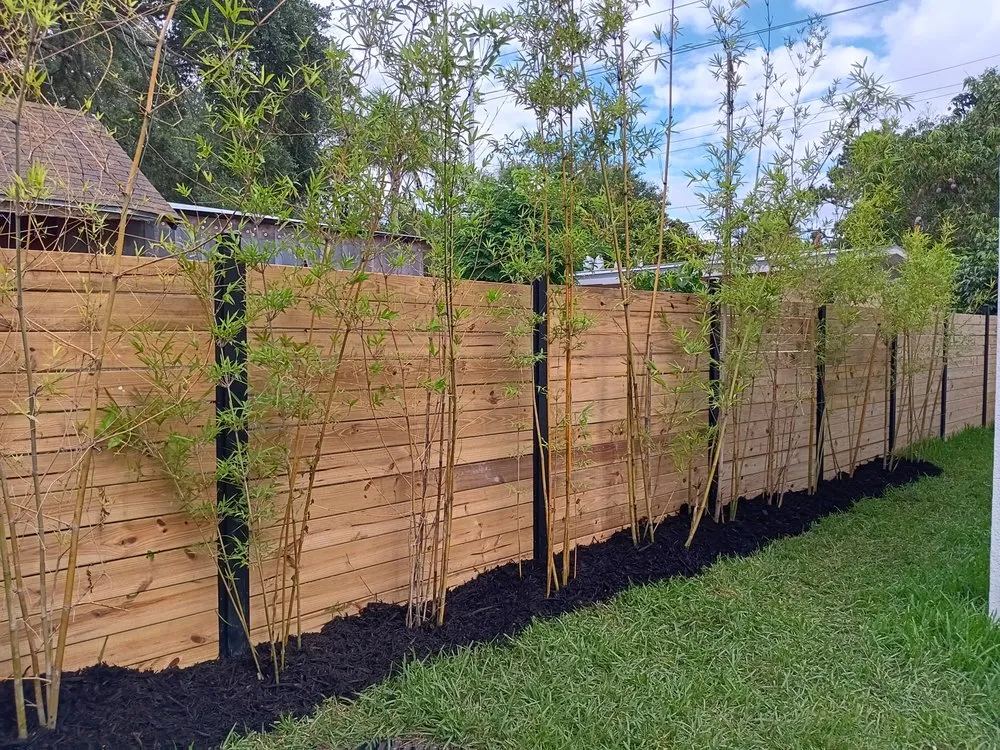 Reliable lawn care service in Greater Northdale, FL - Scape Mate