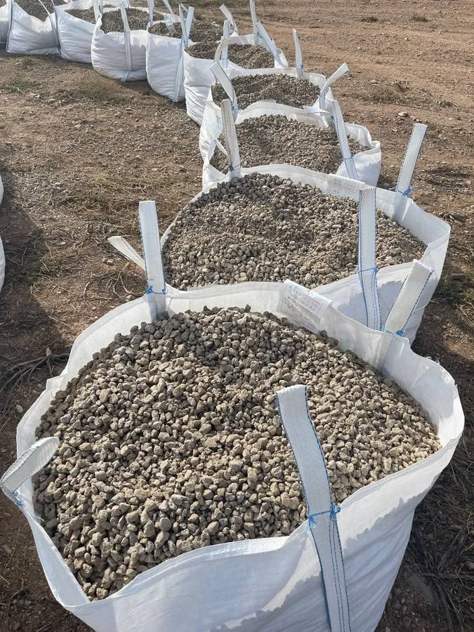 Professional outdoor landscaping in Cave Creek, AZ by Scape Source