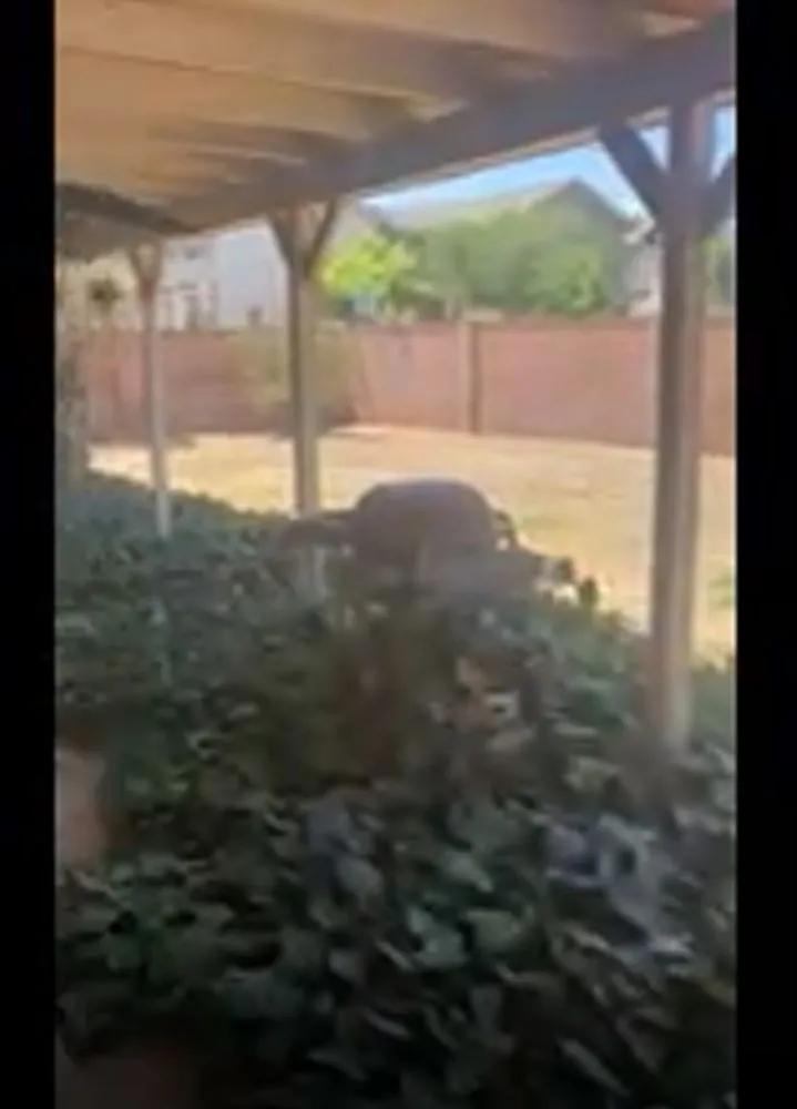 Local residential landscaping for outdoor upgrades in Gilbert, AZ by Scape Tech Landscape & Design