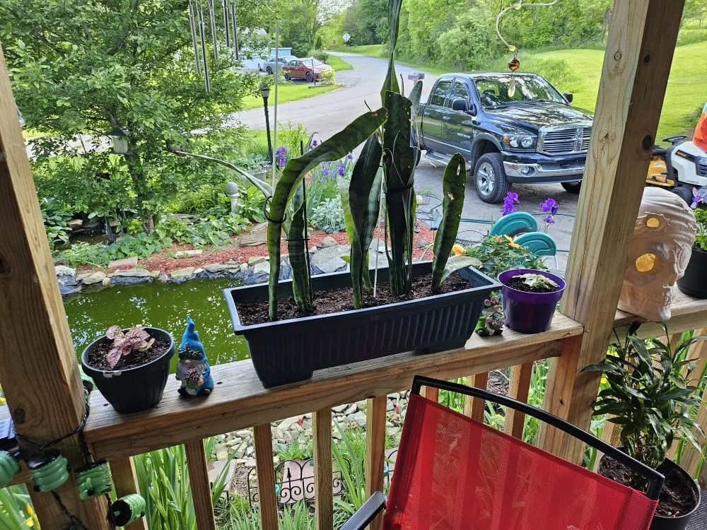 Local residential landscaping experts serving Sharpsville, PA - Scape Your Escape