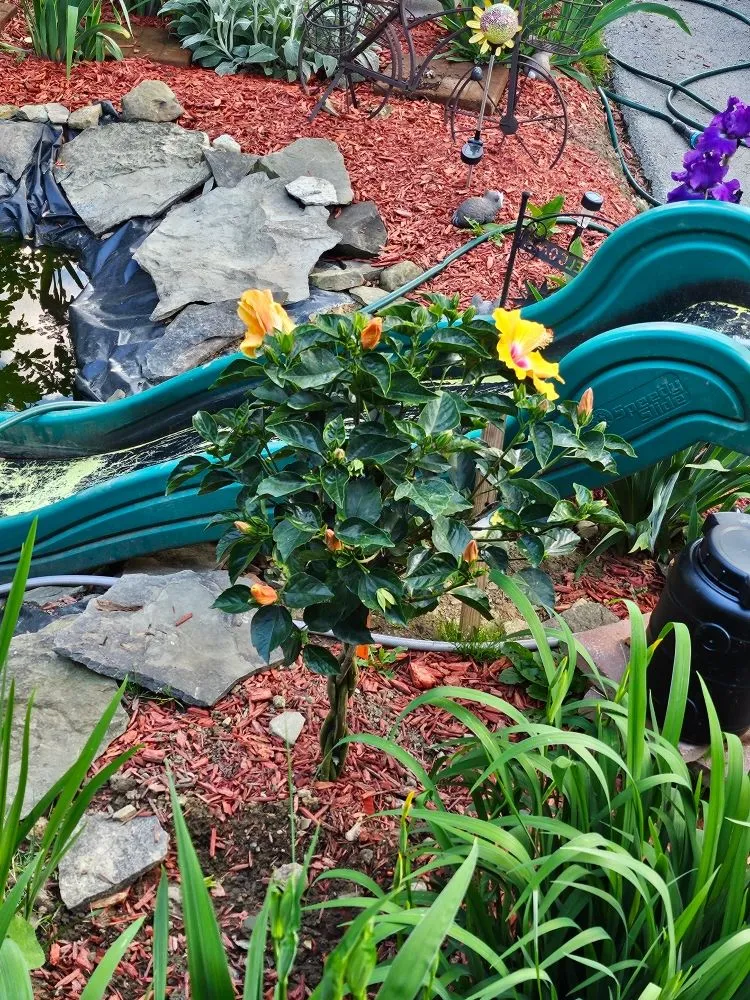 Trusted lawn care service near you in Sharpsville, PA by Scape Your Escape