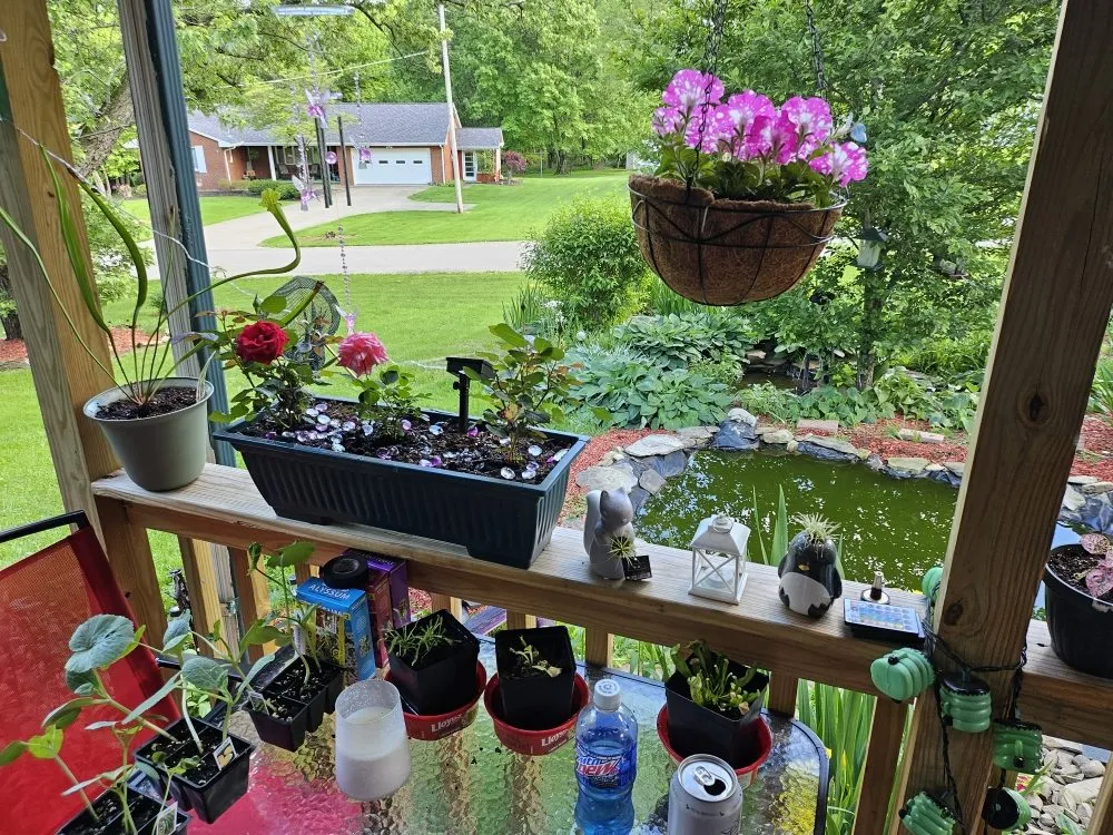 Local landscape installation for homes in Sharpsville, PA by Scape Your Escape