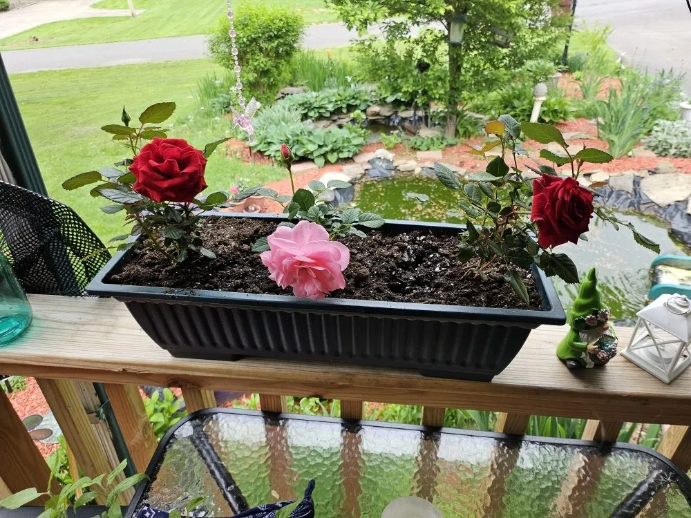 Trusted landscape installation in Sharpsville, PA by Scape Your Escape