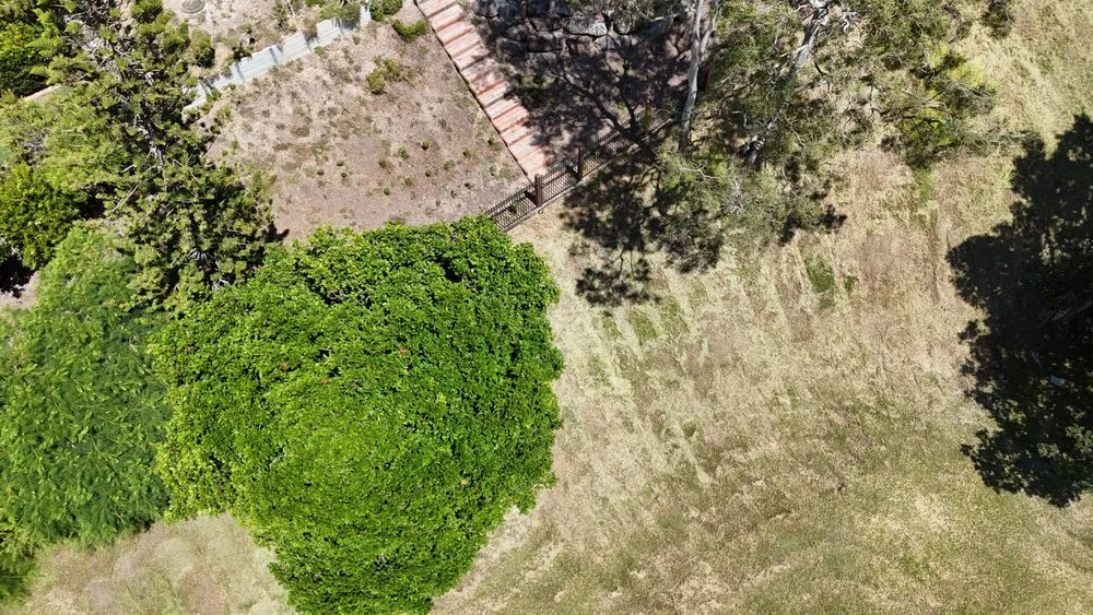 Trusted yard maintenance experts serving Irwin, PA - Scaped Outdoors