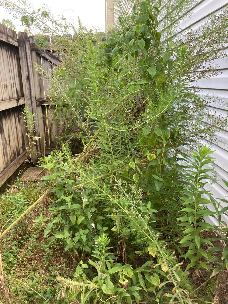 Expert landscape installation experts serving Ocean Springs, MS - ScapeGoats