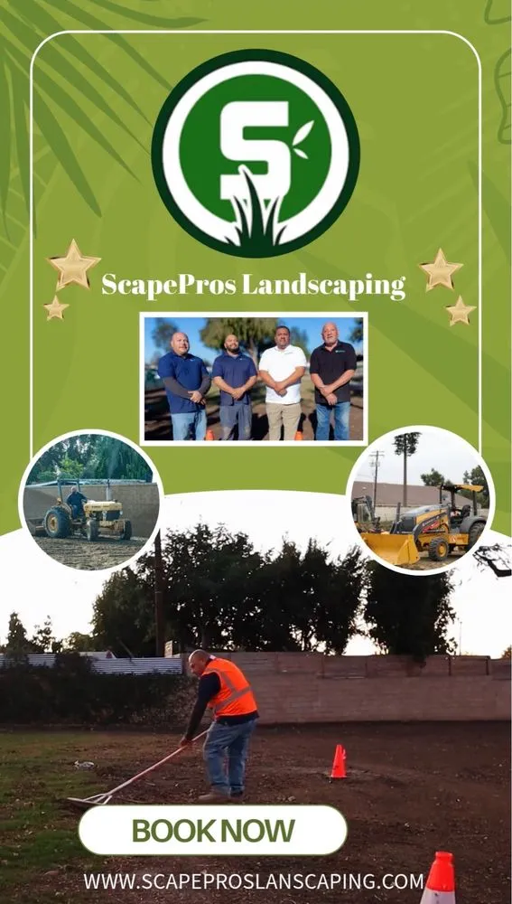 Local residential landscaping for outdoor upgrades in Anaheim, CA by Scapepros Landscaping