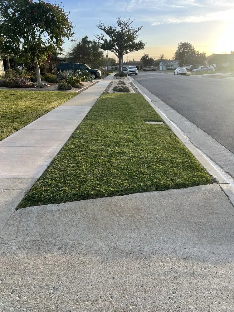 Local lawn care service for year-round maintenance across Anaheim, CA - Scapepros Landscaping