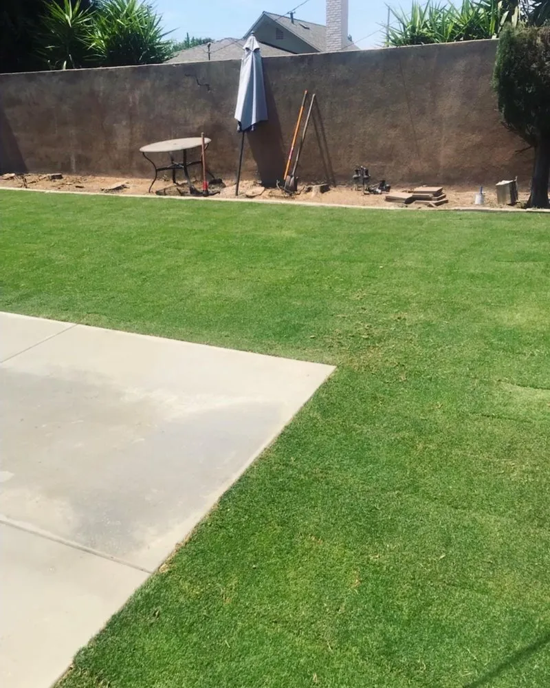 Top-rated landscape installation experts serving Anaheim, CA - Scapepros Landscaping