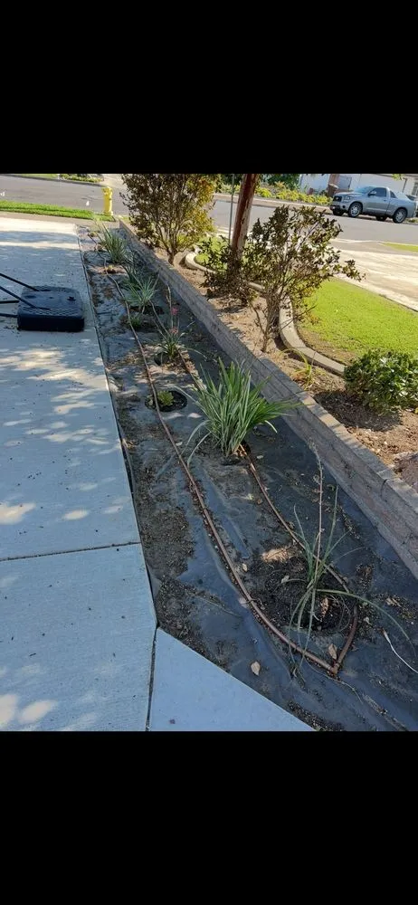 Affordable landscape design experts serving Anaheim, CA - Scapepros Landscaping