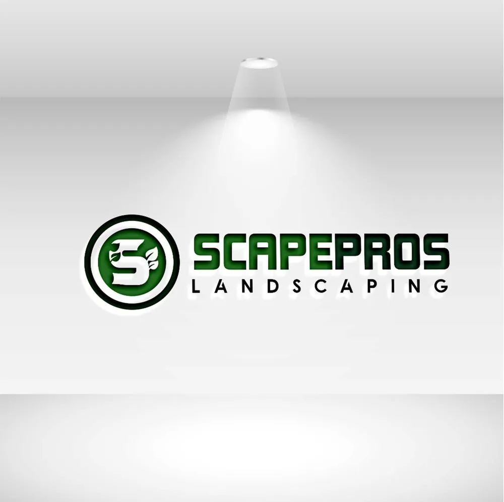 Custom outdoor landscaping in Anaheim, CA by Scapepros Landscaping