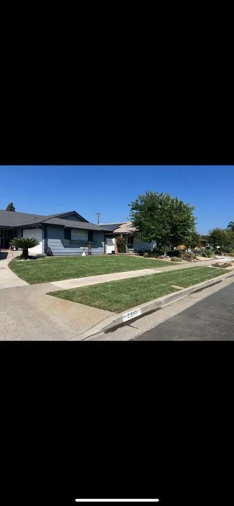 Professional landscape design in Anaheim, CA - Scapepros Landscaping