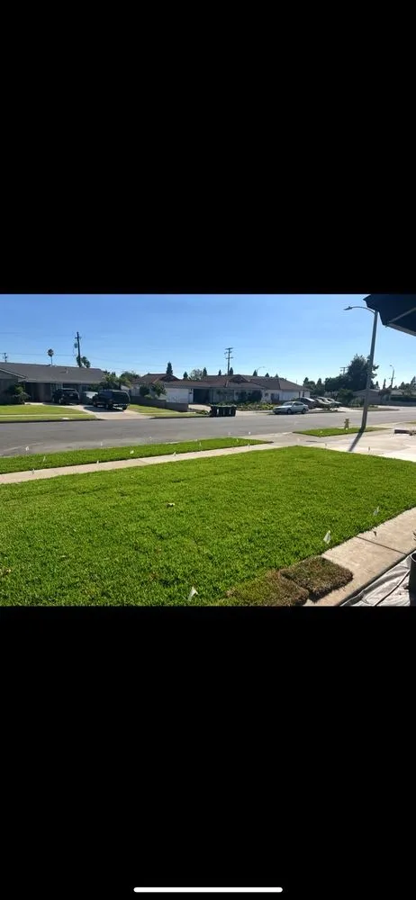 Custom landscape installation experts serving Anaheim, CA - Scapepros Landscaping