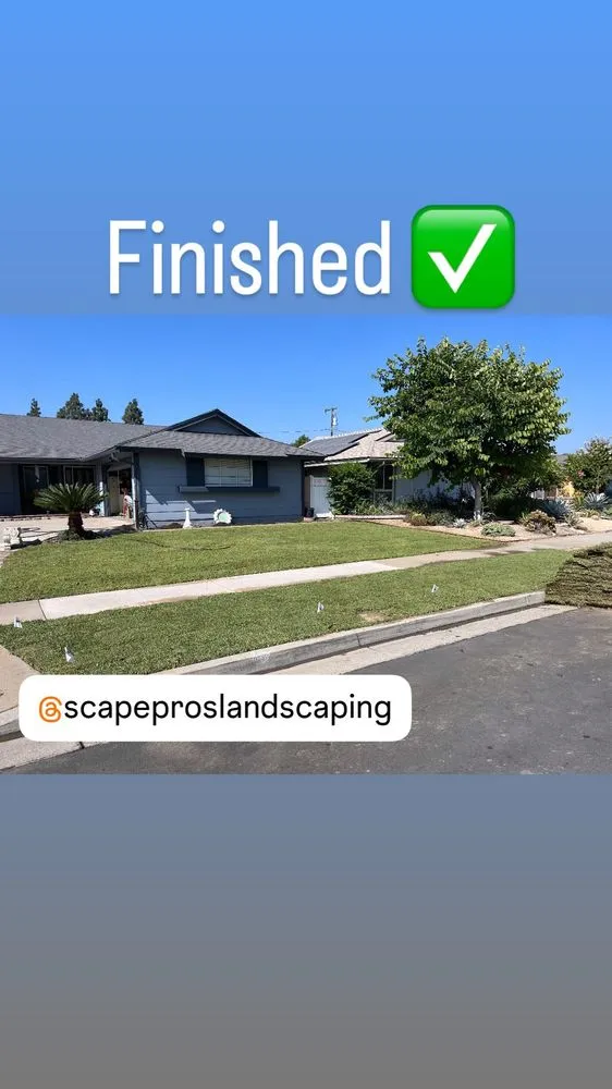 Local landscaping services in Anaheim, CA - Scapepros Landscaping