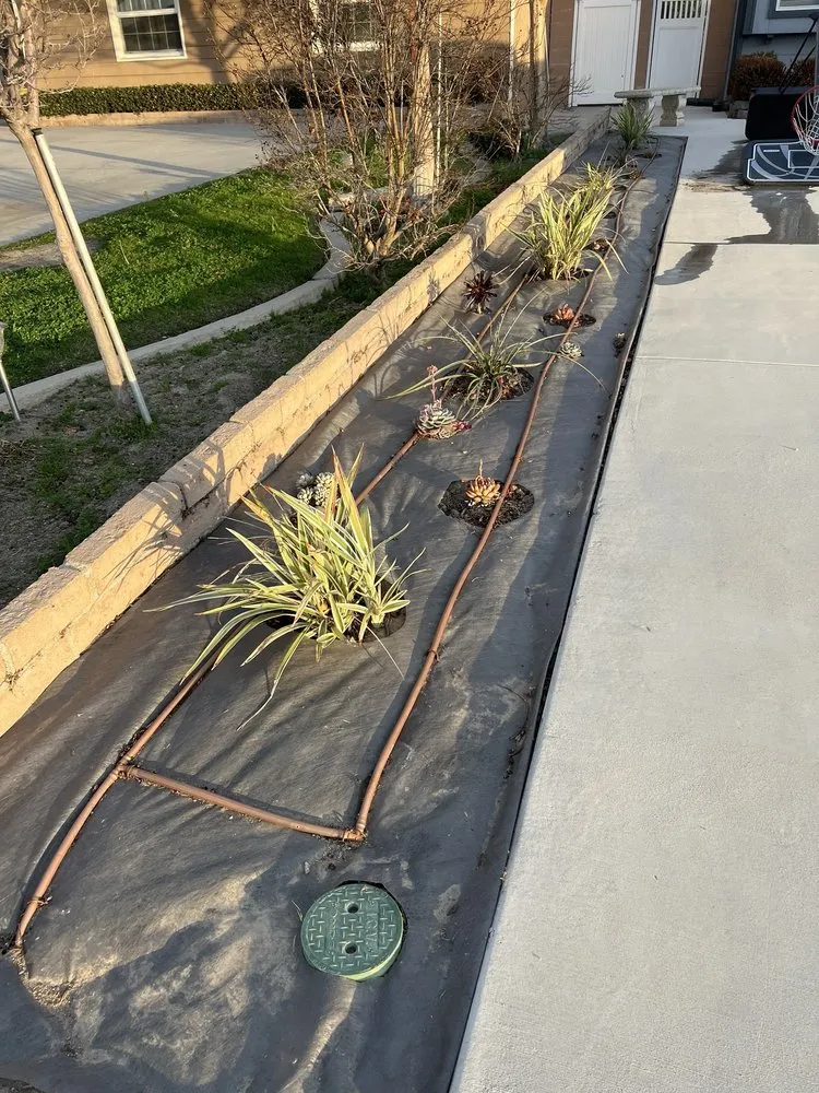 Top-rated outdoor landscaping in Anaheim, CA by Scapepros Landscaping